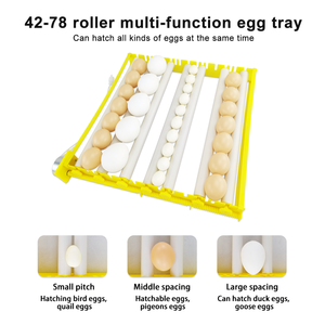 Bandeja para Huevos de Gallina de 48-78 Huevos, Volteador Automático de Huevos con Rodillo, Incubadora de Plástico - Product Image 3