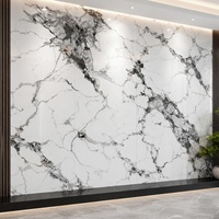 Panneau mural WYRAX Panda en PVC blanc effet marbre UV 1220x2440mm 3.2mm pour projet d'aménagement intérieur de showroom de vente au détail
