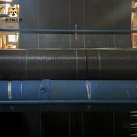 Toile de paillage noire tissée en PP/PE, tapis de couverture de sol industriel, membrane anti-mauvaises herbes en rouleau pour aménagement paysager et allées