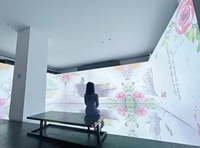 Solution de projection interactive multi-écrans tactile, projecteur 3D immersif pour murs et sols, idéal pour les expositions