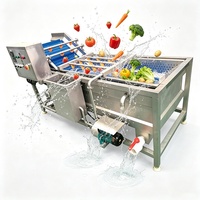 Geavanceerde industriële groente- en fruitwasmachine SUS304 met luchtbellen voor champignons, vis en diepvriesproducten