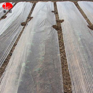 24 heures de Service Client En Ligne Invernadero <span class=keywords><strong>Agricole</strong></span> de Paillis En Plastique Argent <span class=keywords><strong>Noir</strong></span> <span class=keywords><strong>Film</strong></span> Couche de Paillis - Product Image 5