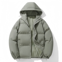 Veste d'hiver coupe-vent de haute qualité, capuche épaisse, manteau élégant, doudoune décontractée basique pour homme