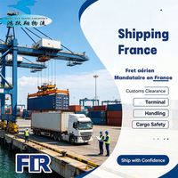 Agente de Transporte Marítimo Francia, Flete Marítimo, Puerto de Lyon, Puerto de Le Havre, Agente de Transporte Especializado, Agente DDP