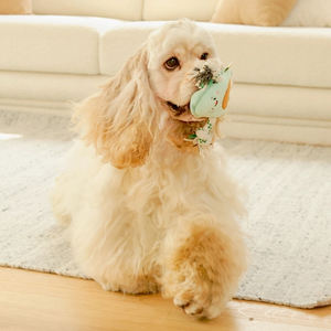 2025 küçük peluş köpek gıcırtılı Chewy oyuncaklar yüksek kaliteli avokado sevimli peluş hiçbir doldurma halat köpek oyuncak - Product Image 4