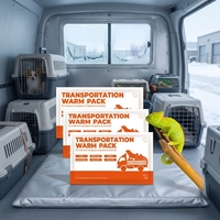 Fabricant de patchs chauffants pour le transport, 12*20cm, paquet thermique à température constante et longue durée pour la logistique hivernale et l'expédition