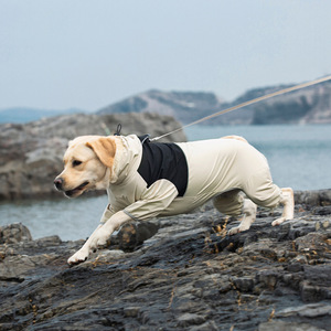 Impermeable para Mascotas de Cuatro Patas - Ropa de Lluvia para Perros para Exteriores (Traje de Lluvia Resistente para Cachorros con Detalles Reflectantes) - Product Image 4