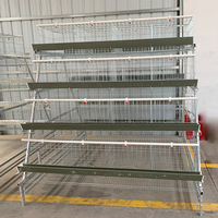 Cage en acier de type A ceinture de fumier de nouvelle condition pour les Cages d'animaux de poulet de chair de poulet de couche pour la ferme de poulet de maison de batterie automatique