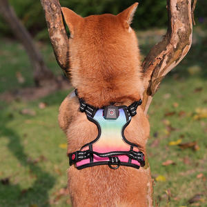 カスタムパターンオックスフォードアウトドアナイトウォーキングメッシュフロントクリップRGB充電式USBLEDライト付きプルペットドッグハーネスなし - Product Image 3