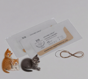 Sekunary benang jahit campuran kromik Catgut kualitas tinggi dengan jahitan bedah yang dapat diserap jarum untuk penggunaan klinik hewan - Product Image 1