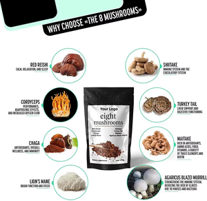Complément alimentaire aux champignons adaptogènes |   Mélange 8-en-1 pour l'énergie, la concentration et l'immunité - Product Image 5