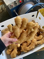 Nouvel Ail Frais de Chine du Shandong, Gingembre en Gros, Semences de Chine pour la Plantation d'Ail Frais