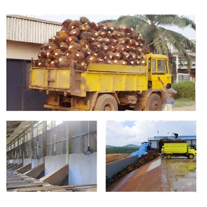 50-100tpd hoàn thành dây chuyền sản xuất dầu cọ tự động dầu trái cây Báo Chí dung môi Máy chiết xuất dầu ăn nhà máy tinh chế - Product Image 5