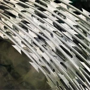 <span class=keywords><strong>Filo</strong></span> di rasoio 250FT, zincato BTO-22 <span class=keywords><strong>filo</strong></span> di rasoio recinzione nastro allungato bobine di <span class=keywords><strong>filo</strong></span> <span class=keywords><strong>spinato</strong></span> per fattoria, recinzione, giardino - Product Image 4