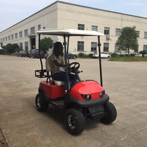 Carritos de Golf Eléctricos Baratos de China 2026 en Venta para Exhibición de Mascotas, Turismo, Campamento y Transporte Turístico con Motor Potente - Product Image 2