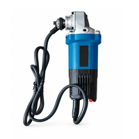 Meuleuse d'angle professionnelle OEM ODM 850W 12000 tr/min, disque de 100 mm pour la découpe et le meulage du métal, conception durable du broche M10