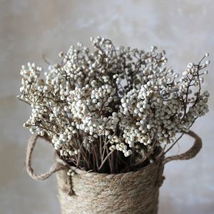 ดอกไม้แห้งธรรมชาติผลเบอร์รี่ Excoecaria แจกันฟิลเลอร์ดอกไม้โต๊ะรับประทานอาหารกลางตกแต่งแปะก๊วยขนาดเล็ก - Product Image 1