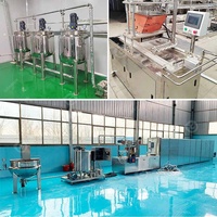 Suikercristal Speciaal Gevormde Lolly Zachte Harde Gummy Suikersnoepjes Maken Machine 200.00-1000.00 Toffees Giet Lijn