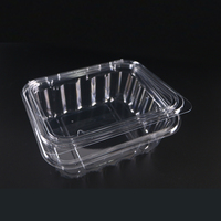 Nieuw Binnen Grote Huisdier Plastic Doos Biologisch Afbreekbare Wegwerp Verpakking Blister Clam Shell Voor Fruit Groente Voedsel Container