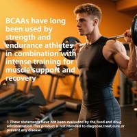 Mélange d'acides aminés et de multivitamines personnalisable OEM/ODM - Poudre BCAA instantanée 2:1:1 pour la récupération musculaire et le soutien énergétique