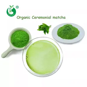 Chá verde orgânico certificado, chá verde orgânico cerimonial pó de matcha