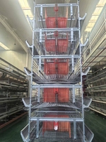 Nouveau système de cage à batterie de type H pour poulets, alimentation automatique, en acier inoxydable, facile à utiliser, équipement d'élevage avicole