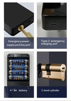 Serrure de porte intelligente à faible coût, contrôle à distance Tuya BLE, empreinte digitale, mot de passe, serrure de porte intelligente