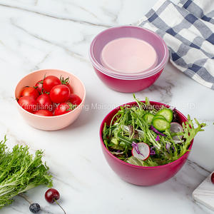 Juego de cuencos de plástico con tapa para ensalada, accesorios de cocina de Maisons, duraderos, coloridos, 4 Uds., venta al por mayor - Product Image 3