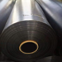 ราคาโรงงานที่ดีที่สุดราคา0.5มิลลิเมตร0.75มิลลิเมตร Geomembrane HDPE Geomembrane ซับพลาสติกบ่อซับสระว่ายน้ำ