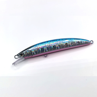 Umpan Pancing Laut Dalam Berat Tipe Minnow Keras, Desain Baru Raylor, Grosir, Custom, 220mm 85g, Tenggelam Cepat, Untuk Ikan Besar