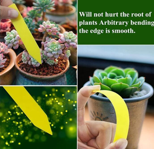 Barato Jardim Atacado Durável Interior Ao Ar Livre Espessado PP Jardim Planta Estaca Seed Plant Tag Label Marker - Product Image 6