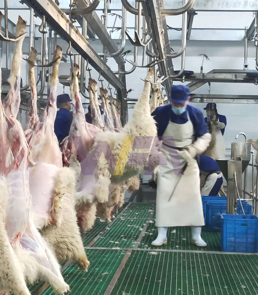 Rails de suspension pour le traitement des carcasses de moutons, équipement d'abattoir pour chèvres