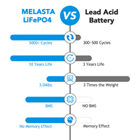 Melasta Wiederaufladbare Solar-Lithium-Eisenphosphat-Batterie zum Fabrikpreis, Tiefzyklus 12,8V 12Ah LiFePO4-Batterie für Boote