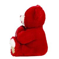Ours en peluche personnalisé, mignon, en forme de cœur, en peluche rouge, ours en peluche pour la Saint-Valentin, cadeau de la Saint-Valentin