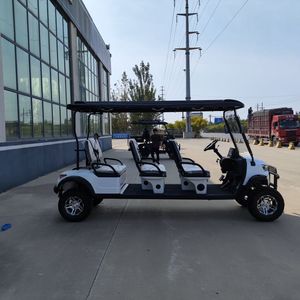 6 עגלת גולף רכב רכב סיור חשמלי צבעים מותאמים אישית - Product Image 3