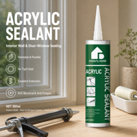 Scellant acrylique 300 ml, flexible, étanche à l'air, peignable, pour murs intérieurs, portes, fenêtres, joints de fissures, anti-fongique