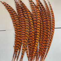 Plumes de queue de faisan Lady Amherst teintées de haute qualité, 80-90 cm, pour défilés, Halloween, accessoires pour cheveux, samba