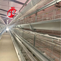 Cages pour volailles pondeuses d'occasion pour 3 poules avec cages à poulets Couche d'oeufs à vendre