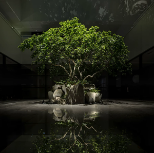 Grand <span class=keywords><strong>olivier</strong></span> artificiel écologique Hengxiang avec structure en bois et fibre de verre pour la décoration de la maison et du jardin, <span class=keywords><strong>prix</strong></span> bas Chine, 30% T/T - Product Image 4