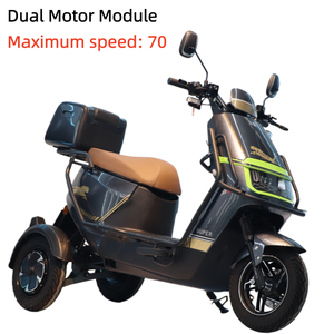 Triciclo Eléctrico de Carrocería Cerrada Inclinable de Doble Motor Fabricado en China, <span class=keywords><strong>Jiangsu</strong></span>, 70 km/h, Carga Útil de 200-300 kg, para Entrega Comercial de Alimentos - Product Image 5