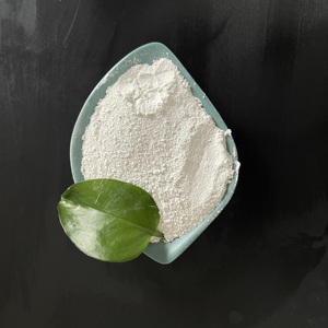 Idrossido di Calcio Superfine per Malte Secche e Intonaciatura Muraria - Product Image 2
