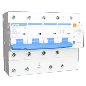 Resistenza alle alte temperature NXBLE-125 2 poli piazza d chint miniature circuit breaker