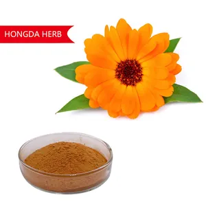 Hongda Factory Supply estratto di calendula estratto di fiori di calendula biologico puro 5% integratori sanitari di luteina