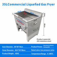 Friteuse professionnelle au gaz GPL Hansu 35L pour frites et poulet, avec température réglable