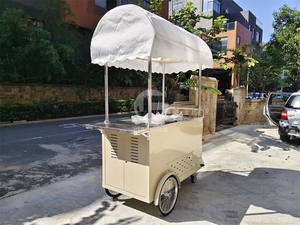 Nouveau design de chariot à crème glacée pour café mobile, chariot mobile populaire pour café - Product Image 5