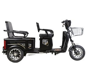 รถสามล้อโดยสาร 1000 วัตต์ ราคาถูก แบบเปิดโล่ง 3 ล้อ ขนาดเล็ก - Product Image 3