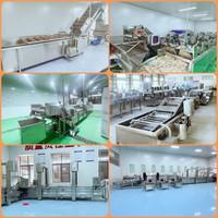 China Fabriek Fruit Groente Procesmachine Bosbessen Verwerkingslijn 500Kg 1000Kg Stro Berry Bosbessen Reinigingsmachine