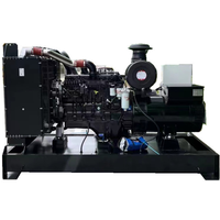 Groupe électrogène diesel robuste 315 kVA 252 kW 3 PH 400 V 50 Hz, silencieux, pour usage industriel, minier et de construction