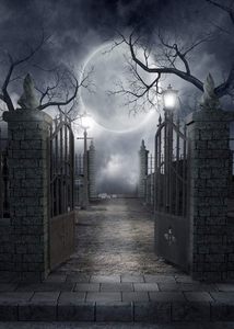 Decoración <span class=keywords><strong>de</strong></span> Fiesta <span class=keywords><strong>de</strong></span> <span class=keywords><strong>Halloween</strong></span> con Diseño <span class=keywords><strong>de</strong></span> Casa <span class=keywords><strong>de</strong></span> Brujas, Luna Llena y Campo <span class=keywords><strong>de</strong></span> Calabazas, Banner Personalizable para Fotografía - Product Image 6