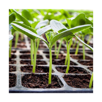 Plaques de Semis en Plastique à 21/32/50/72/98/105/128/162/200/288 Cellules pour Agriculture, Serre, Ferme et Jardin